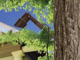 Stainless Steel Tree Mount - Lighting Doctor